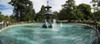 Peacock Fountain at Hagley Park, Christchurch, Canterbury, South Island, New Zealand Poster Print by Panoramic Images - Item # VARPPI171434