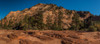 Pine trees and sandstone cliffs, Zion National Park, Utah, USA Poster Print by Panoramic Images - Item # VARPPI174193