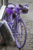 Purple bicycle on street, Limburg an der Lahn, Hesse, Germany Poster Print by Panoramic Images - Item # VARPPI174006