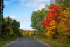 Trees along road in autumn, Ontario, Canada Poster Print by Panoramic Images - Item # VARPPI175366
