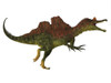 Side view of a Ichthyovenator dinosaur. Poster Print by Corey Ford/Stocktrek Images - Item # VARPSTCFR200699P