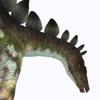 Stegosaurus dinosaur head. Poster Print by Corey Ford/Stocktrek Images - Item # VARPSTCFR200846P