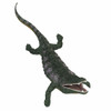 Archegosaurus on white background. Poster Print by Corey Ford/Stocktrek Images - Item # VARPSTCFR200778P