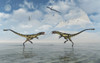 A territorial dispute between two Dilong dinosaurs. Poster Print by Mark Stevenson/Stocktrek Images - Item # VARPSTMAS600133P