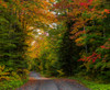 View of dirt road in autumn, Sutton, Quebec, Canada Poster Print by Panoramic Images - Item # VARPPI173914