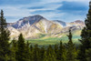 A scenic view of the Alaska Range in Denali National Park near the Savage River on a summer day in South-central Alaska; Alaska, United States of America Poster Print by Michael Jones / Design Pics - Item # VARDPI12320516