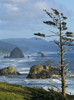 Haystack Rock viewed from Ecola Point; Cannon Beach, Oregon, United States of America Poster Print by Robert L. Potts / Design Pics - Item # VARDPI2385014