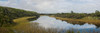 Wetlands at Ship Creek Park, Haast, Westland District, West Coast, South Island, New Zealand Poster Print by Panoramic Images - Item # VARPPI171442
