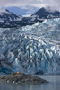 Scenic View Of Shoup Glacier With A Camp Tent Set On A Island In The Distance, Shoup Bay State Marine Park, Prince William Sound, Southcentral Alaska Poster Print by Kevin G. Smith / Design Pics - Item # VARDPI2320089