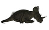 Centrosaurus dinosaur resting, white background. Poster Print by Elena Duvernay - Item # VARPSTEDV600397P