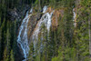Waterfall in forest, Grassi Falls, Canmore, Alberta, Canada Poster Print by Panoramic Images - Item # VARPPI174083