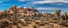 Joshua trees and rocks on a landscape, Joshua Tree National Park, California, USA Poster Print by Panoramic Images - Item # VARPPI174093