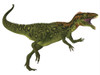 Side profile of a Masiakasaurus dinosaur. Poster Print by Corey Ford/Stocktrek Images - Item # VARPSTCFR200710P