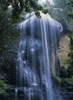 Silver Falls plummets down the cliffs; Allegany, Oregon, United States of America Poster Print by Robert L. Potts / Design Pics - Item # VARDPI2413547