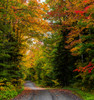 View of dirt road in autumn, Sutton, Quebec, Canada Poster Print by Panoramic Images - Item # VARPPI173913