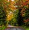 View of dirt road in autumn, Sutton, Quebec, Canada Poster Print by Panoramic Images - Item # VARPPI173913
