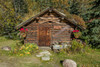 Log Cabin Kantishna, Alaska, Mnt. Denali National Park Poster Print by Panoramic Images - Item # VARPPI182497