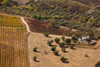 High angle view of a field, Ronda, Malaga Province, Andalusia, Spain Poster Print by Panoramic Images - Item # VARPPI156869