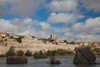 Houses in a town on a hill, Douro River, Zamora, Castilla y Leon, Spain Poster Print by Panoramic Images - Item # VARPPI156818