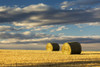 Hay bales in a clear cut field highlighted by the sun with dramatic clouds and blue sky; Alberta, Canada Poster Print by Michael Interisano / Design Pics - Item # VARDPI12321646