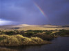 A rainbow over the Umpqua Dunes, Oregon Dunes National Recreation Area; Oregon, United States of America Poster Print by Robert L. Potts / Design Pics - Item # VARDPI2403386