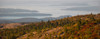 Elevated view of trees, Mount Desert Island, Acadia National Park, Hancock County, Maine, USA Poster Print by Panoramic Images - Item # VARPPI162235