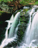 Water falling from rocks, Dingmans Creek, George W Childs Recreation Site, Delaware Water Gap National Recreation Area, Pennsylvania, USA Poster Print by Panoramic Images - Item # VARPPI167328