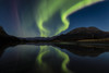 Aurora reflected on Portage Creek along Turnagain Arm, South-central Alaska; Alaska, United States of America Poster Print by Ray Bulson / Design Pics - Item # VARDPI12320532