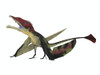 Eudimorphodon flying reptile. Poster Print by Corey Ford/Stocktrek Images - Item # VARPSTCFR200893P