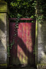 A red gate covered in ivy and moss; Bath, England Poster Print by Leah Bignell / Design Pics - Item # VARDPI12324124