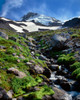 Stream flowing through rocks, Mt Hood, Mt Hood Wilderness, Mt Hood National Forest, Hood River County, Oregon, USA Poster Print by Panoramic Images - Item # VARPPI173258