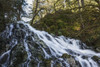 Fishhawk Falls, Lee Wooden County Park; Jewell, Oregon, United States of America Poster Print by Robert L. Potts / Design Pics - Item # VARDPI2429922