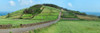 View of farmland along coast, Terceira Island, Azores, Portugal Poster Print by Panoramic Images - Item # VARPPI173433