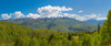 High angle view of trees on mountain, Colorado State Highway 133, Colorado, USA Poster Print by Panoramic Images - Item # VARPPI161512