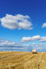 Hay bales on a cut field under a blue sky with cloud; Ravensworth, North Yorkshire, England Poster Print by John Short / Design Pics - Item # VARDPI12324615