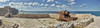 Ancient artillery at Morro Castle, Havana, Cuba Poster Print by Panoramic Images - Item # VARPPI161299