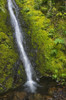 A mountain brook cascades down Saddle Mountain; Hamlet, Oregon, United States of America Poster Print by Robert L. Potts / Design Pics - Item # VARDPI2432930