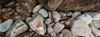 High angle view of rocks at coast, Acadia National Park, Maine, USA Poster Print by Panoramic Images - Item # VARPPI162405