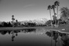 Pond in a golf course, Desert Princess Country Club, Palm Springs, Riverside County, California, USA Poster Print by Panoramic Images - Item # VARPPI172600
