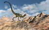 A predatory tyrannosaurid Dilong dinosaur. Poster Print by Mark Stevenson/Stocktrek Images - Item # VARPSTMAS600126P
