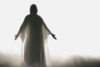 An Angel Poster Print by Don Hammond / Design Pics - Item # VARDPI1774562