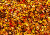 Autumn leaves on the ground; Iron Hill, Quebec, Canada Poster Print by David Chapman / Design Pics - Item # VARDPI12319243