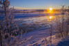 Ice flows in the Tanana River at sunset during freeze up in early winter; Alaska, United States of America Poster Print by Steven Miley / Design Pics - Item # VARDPI12320365