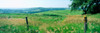 Fence in a field, Loess Hills, Mills County, Iowa, USA Poster Print by Panoramic Images - Item # VARPPI104535