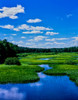 Grass growing in a river, Middle Branch Moose River, New York State Route 28, Adirondack Mountains, Old Forge, Herkimer County, New York State, USA Poster Print by Panoramic Images - Item # VARPPI167313