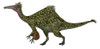 Deinocheirus dinosaur isolated on white background. Poster Print by Elena Duvernay/Stocktrek Images - Item # VARPSTEDV600403P