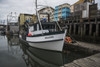 Fishing boats dock at Bay Center on the Washington Coast; Bay Center, Washington, United States of America Poster Print by Robert L. Potts / Design Pics - Item # VARDPI12281022