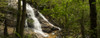 Small stream flowing through a densely covered forest, Wolkberg, Tzaneen, Limpopo Province, South Africa Poster Print by Panoramic Images - Item # VARPPI155437