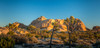 Joshua trees and rocks on a landscape, Joshua Tree National Park, California, USA Poster Print by Panoramic Images - Item # VARPPI174101