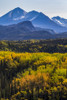 Autumn colours starting to appear in Denali National Park and Preserve, viewed from Park Road near the park headquarters; Alaska, United States of America Poster Print by Doug Lindstrand / Design Pics - Item # VARDPI12307393